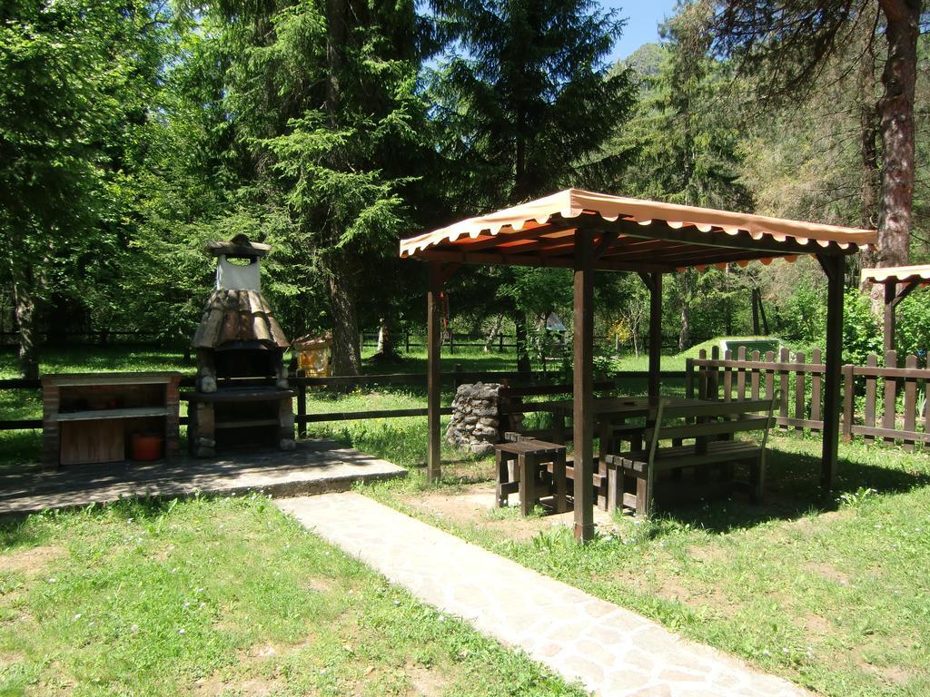 Apartment Casa Pippi *